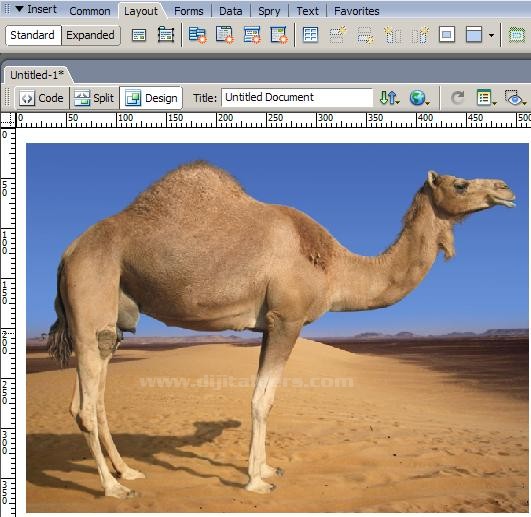 Dreamwever Yazılı sorusu