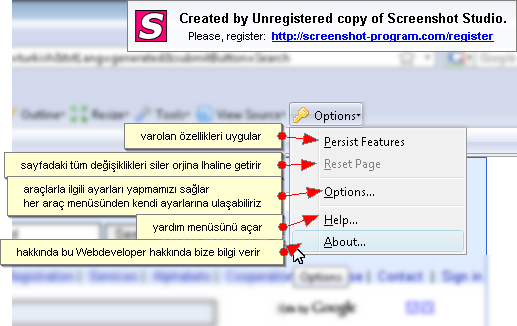 Measureıt, Webdeveloper Anlatım