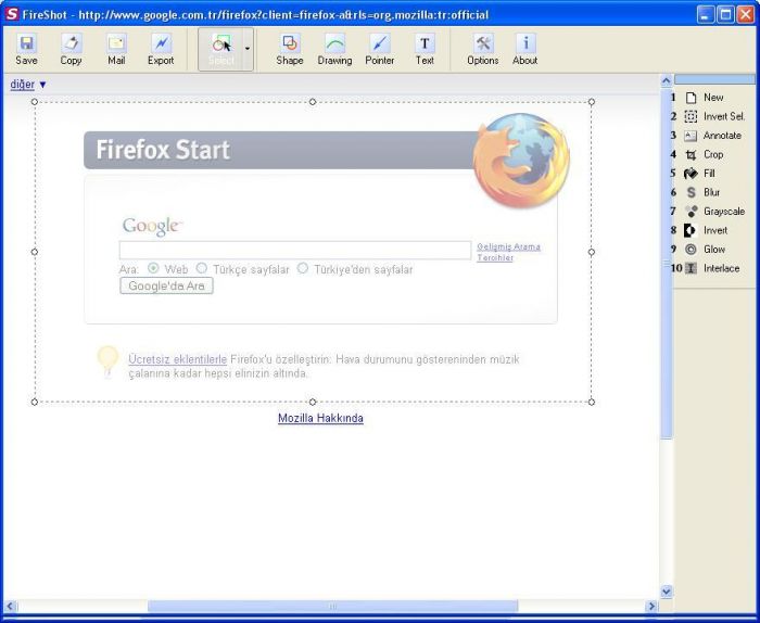 Mozilla FireShot Eklentisi  Ek Ödev